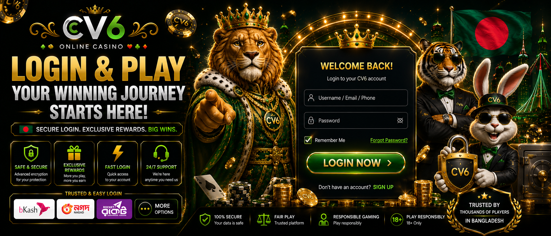 CV6 Login Banner